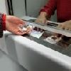 Making payments to the Council - Bank Counter