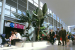 Milton Keynes Relocation - Centre MK Shopping